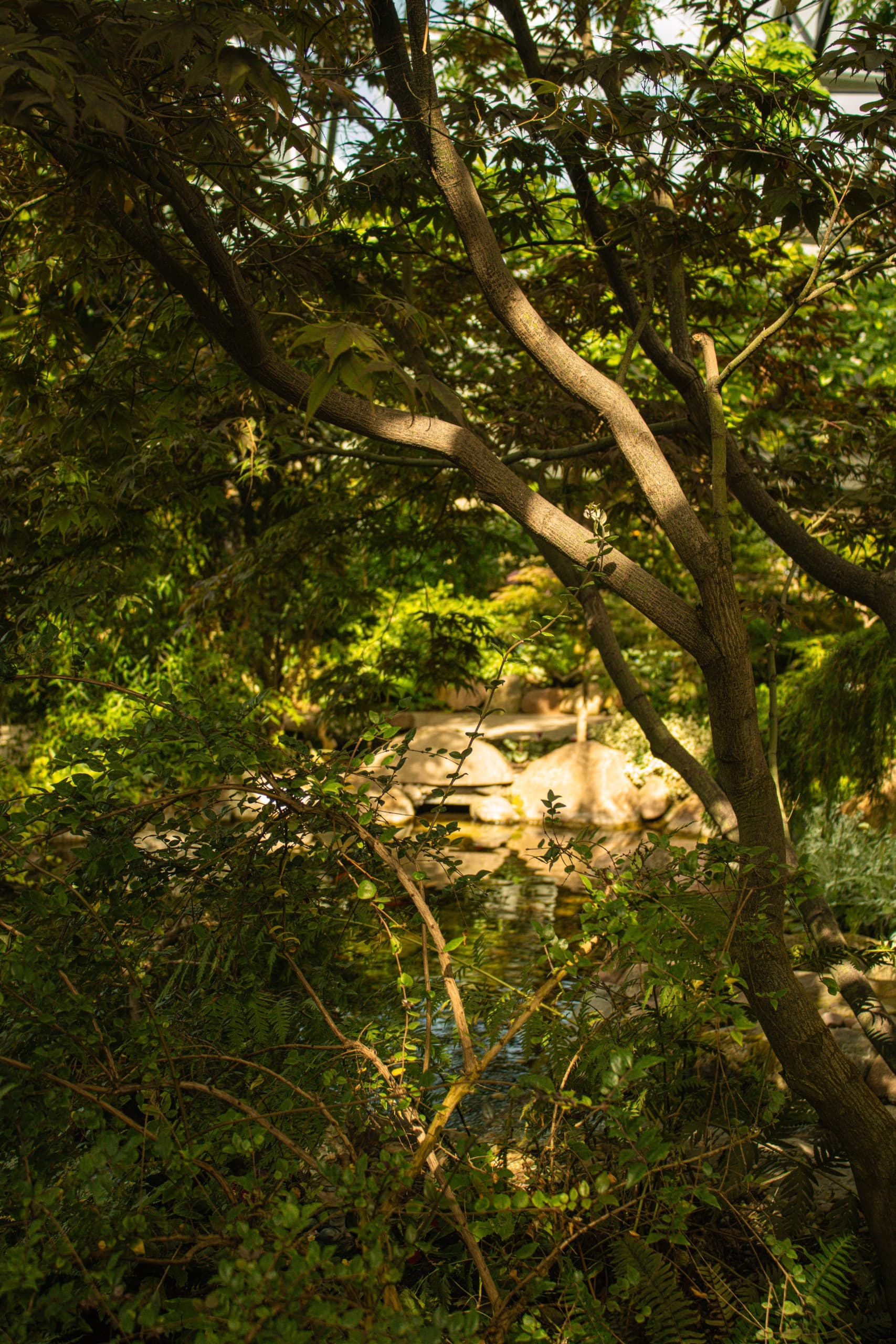 Nature